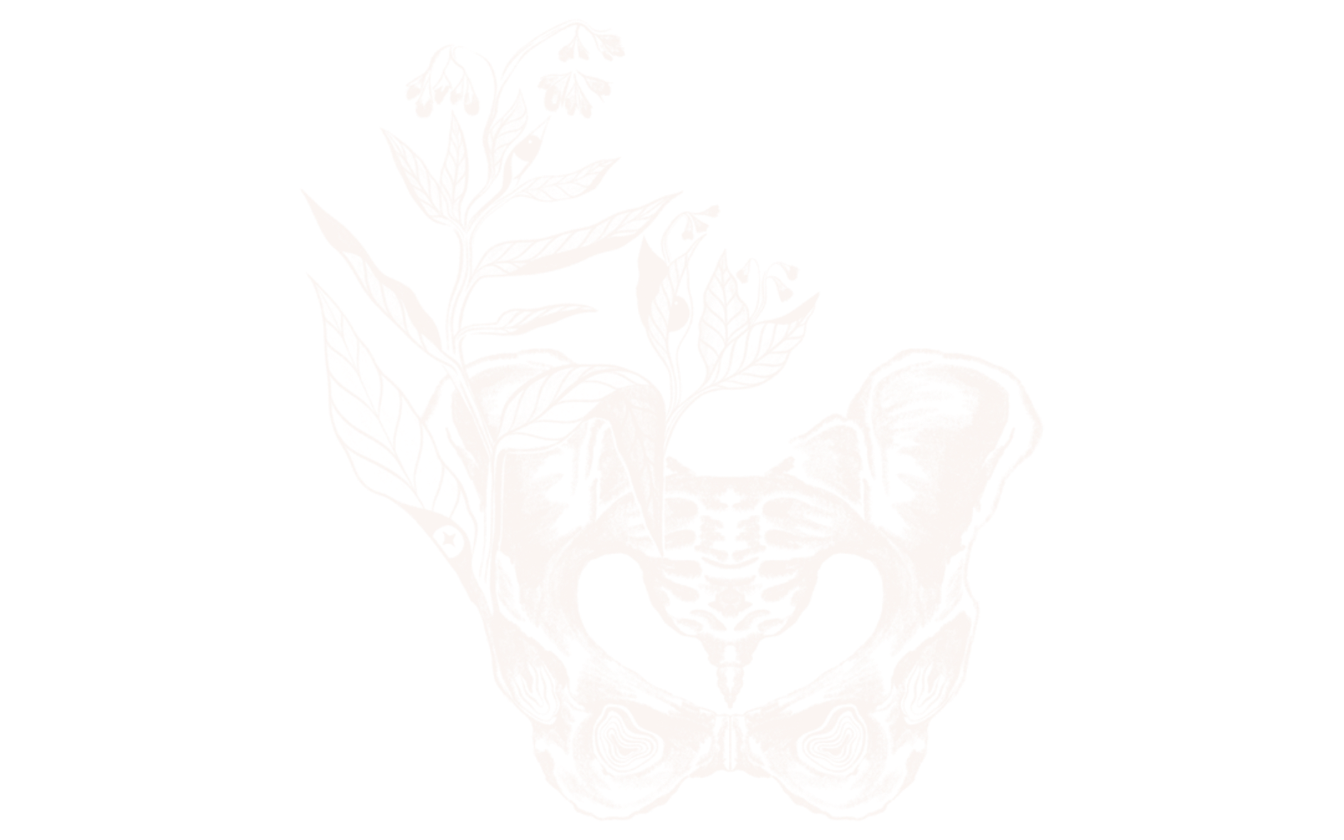 Huné illustration bassin copyright Marius Heureux